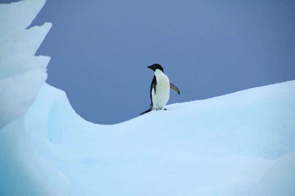 Git’s cross-platform story is really a Linux infrastructure story