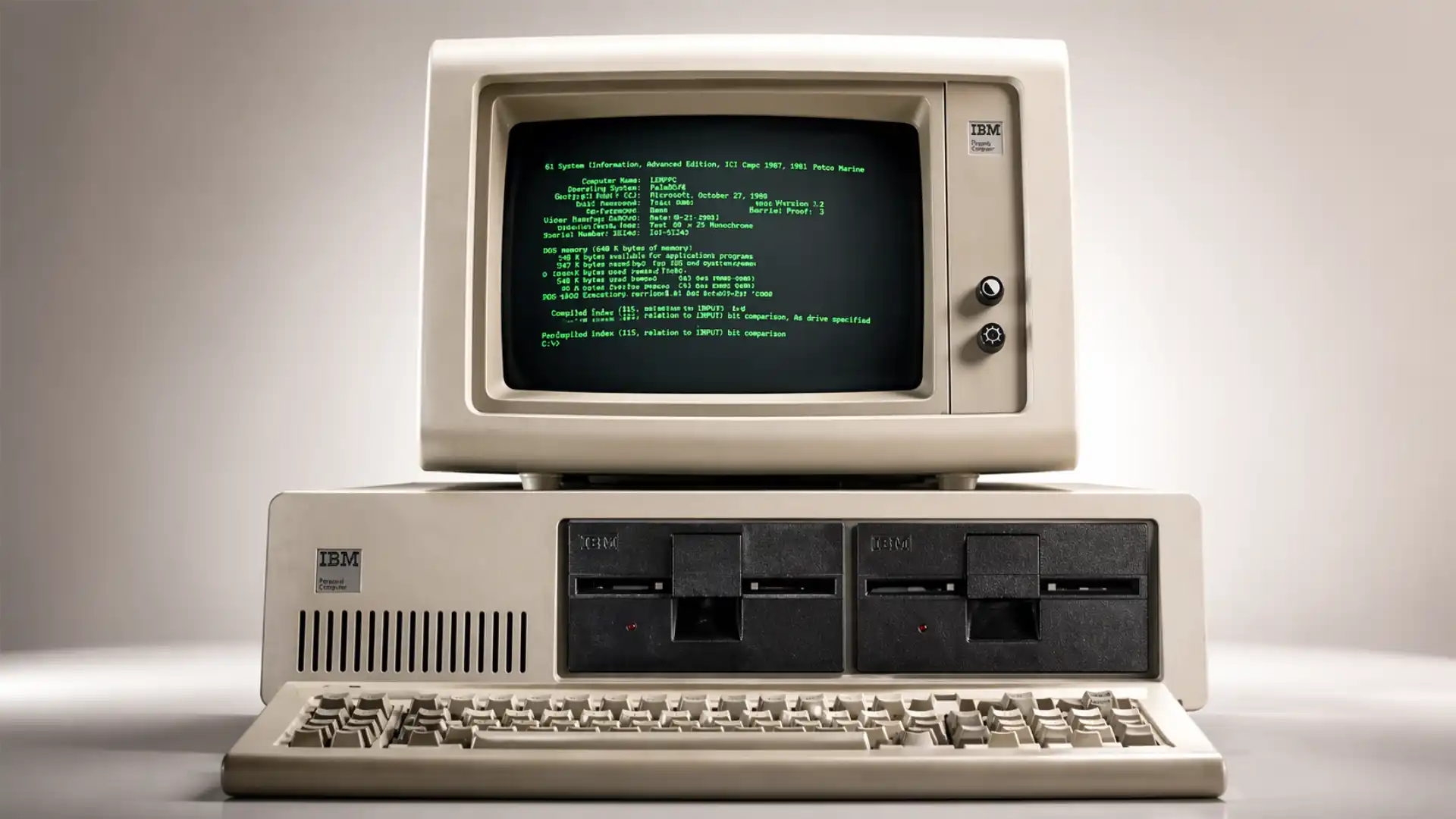 IBM turned the personal computer into a standard