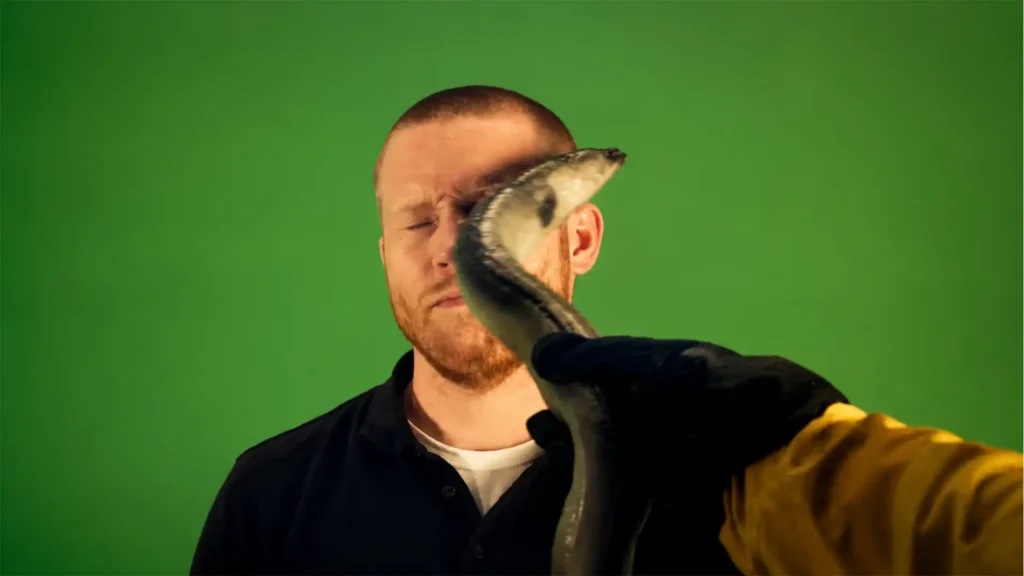 Eel Slap is the internet reduced to one perfect bad idea