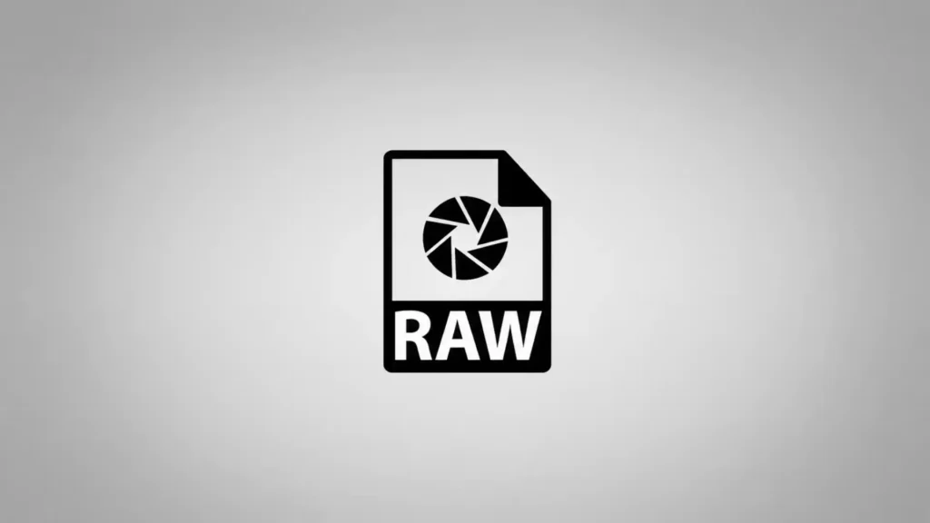 The RAW file myth in the age of synthetic images