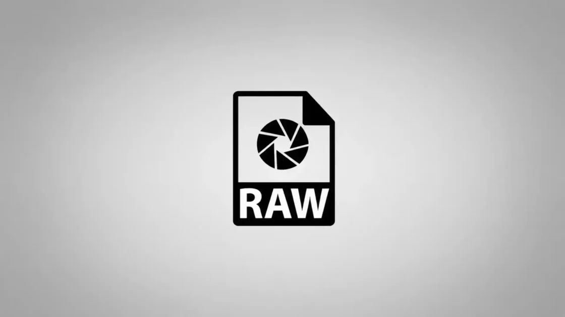 The RAW file myth in the age of synthetic images