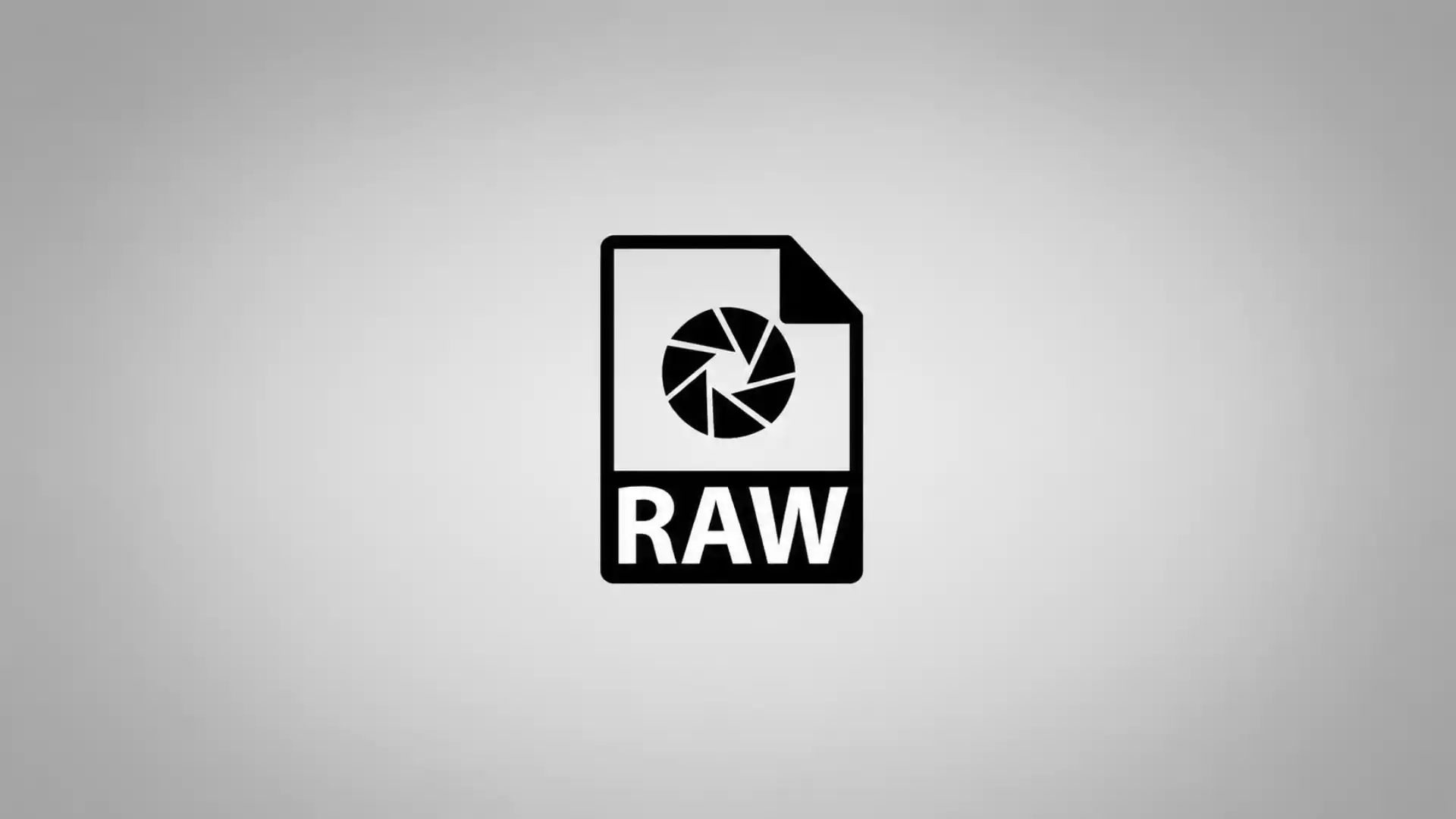 The RAW file myth in the age of synthetic images