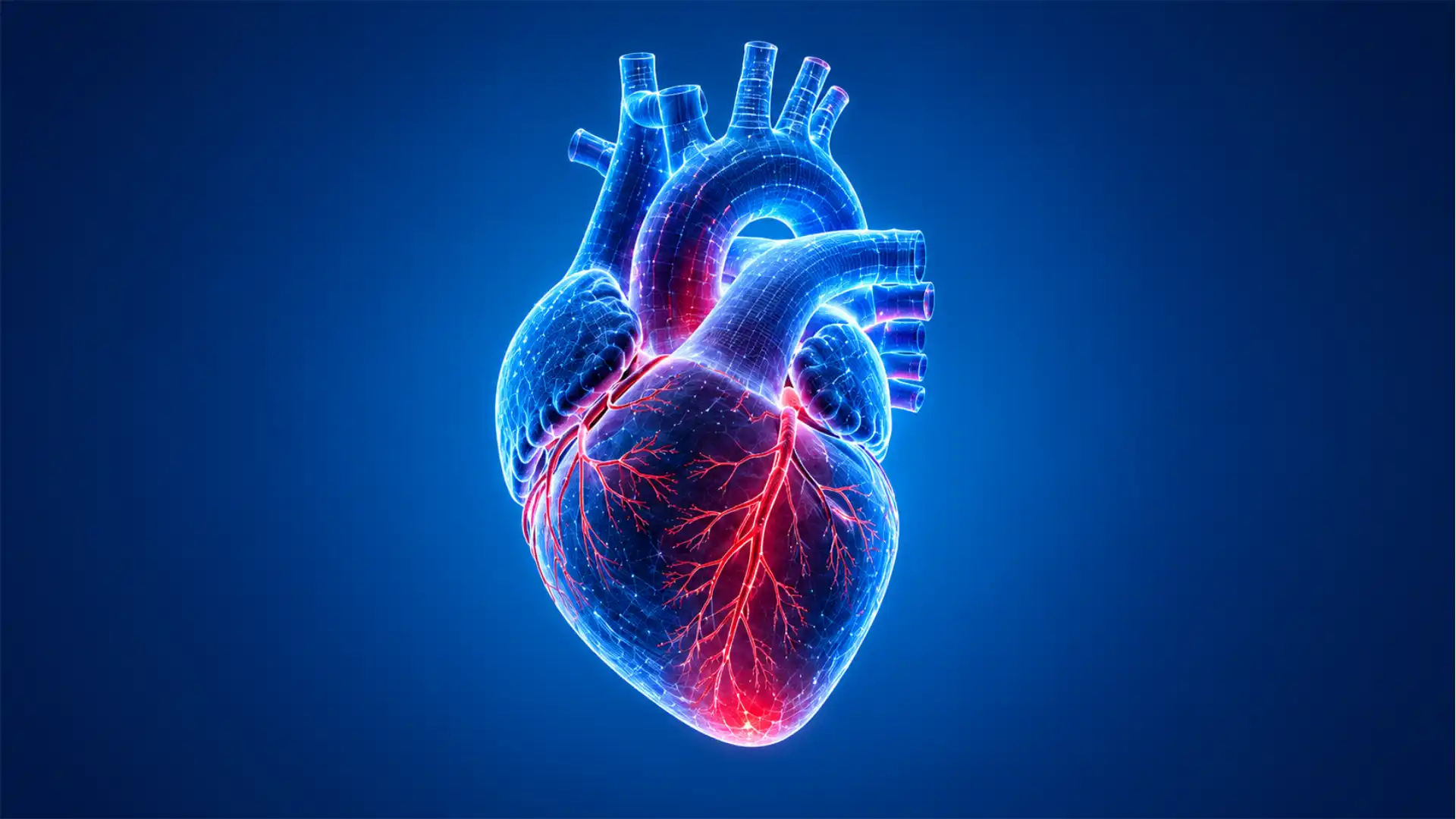 The Slovak brothers teaching AI to read the heart before time runs out